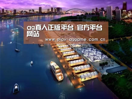 案例展示八