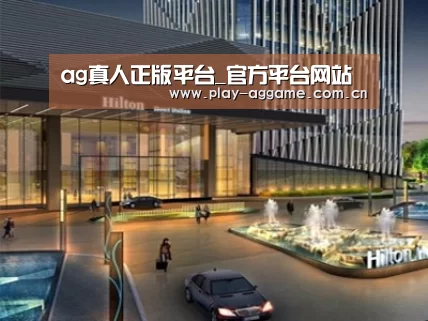 案例展示二