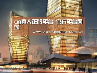 案例展示三