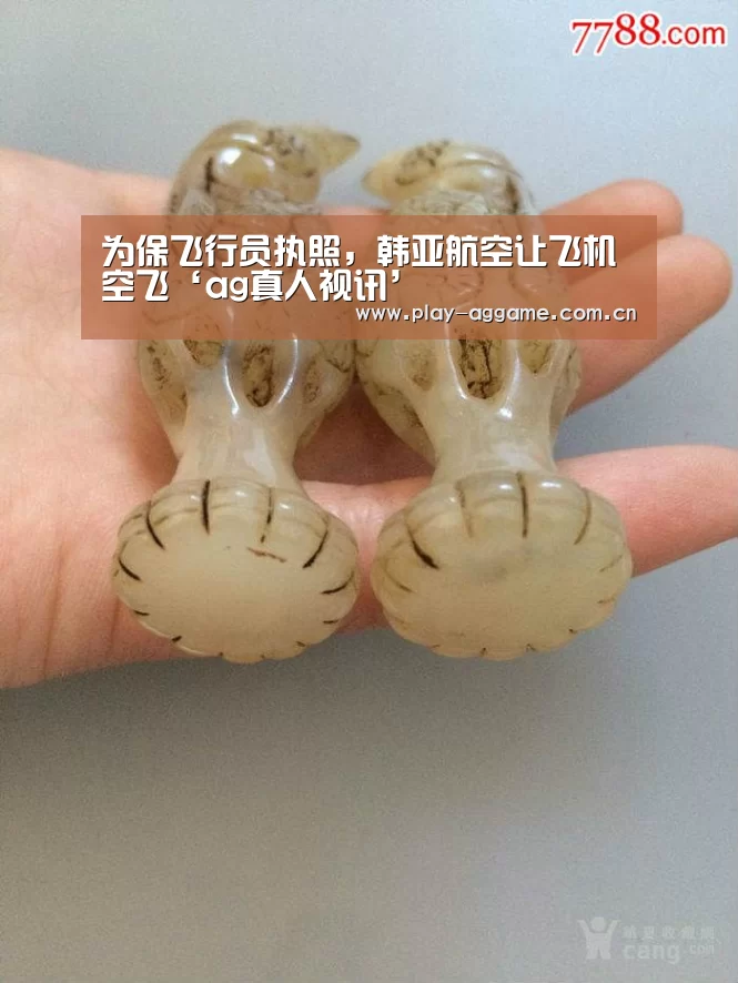 为保飞行员执照,韩亚航空让飞机空飞‘ag真人视讯’(图3) AG真人
