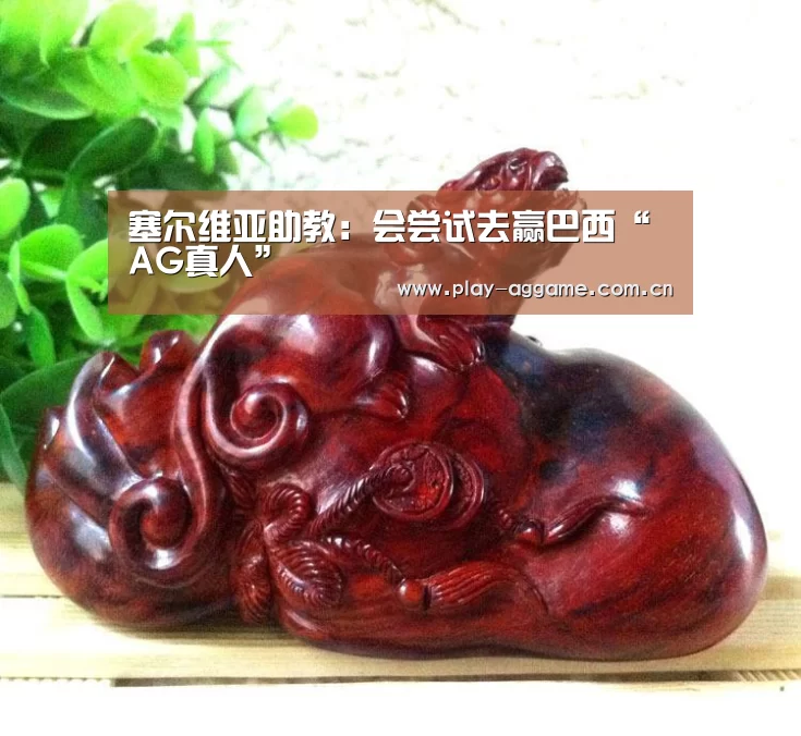 ag真人视讯